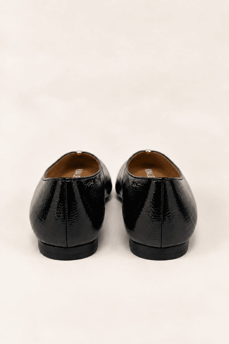 Ballerina lucida